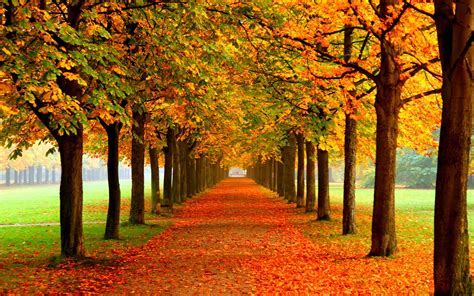 autumn backdrop|free screen savers background autumn.